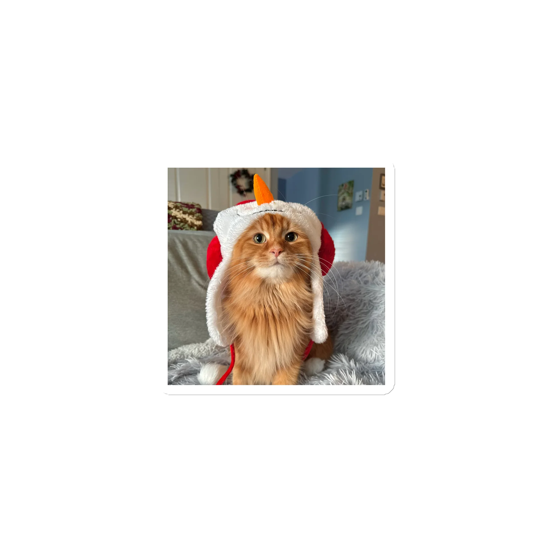 Merry Catmas Magnet product image (1)