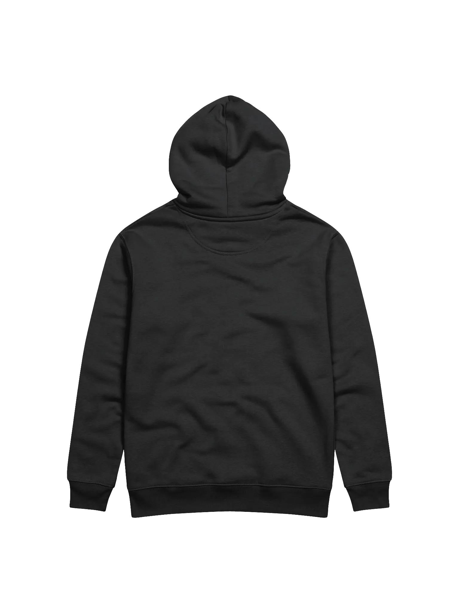 thicc lessfest hoodie product image (2)