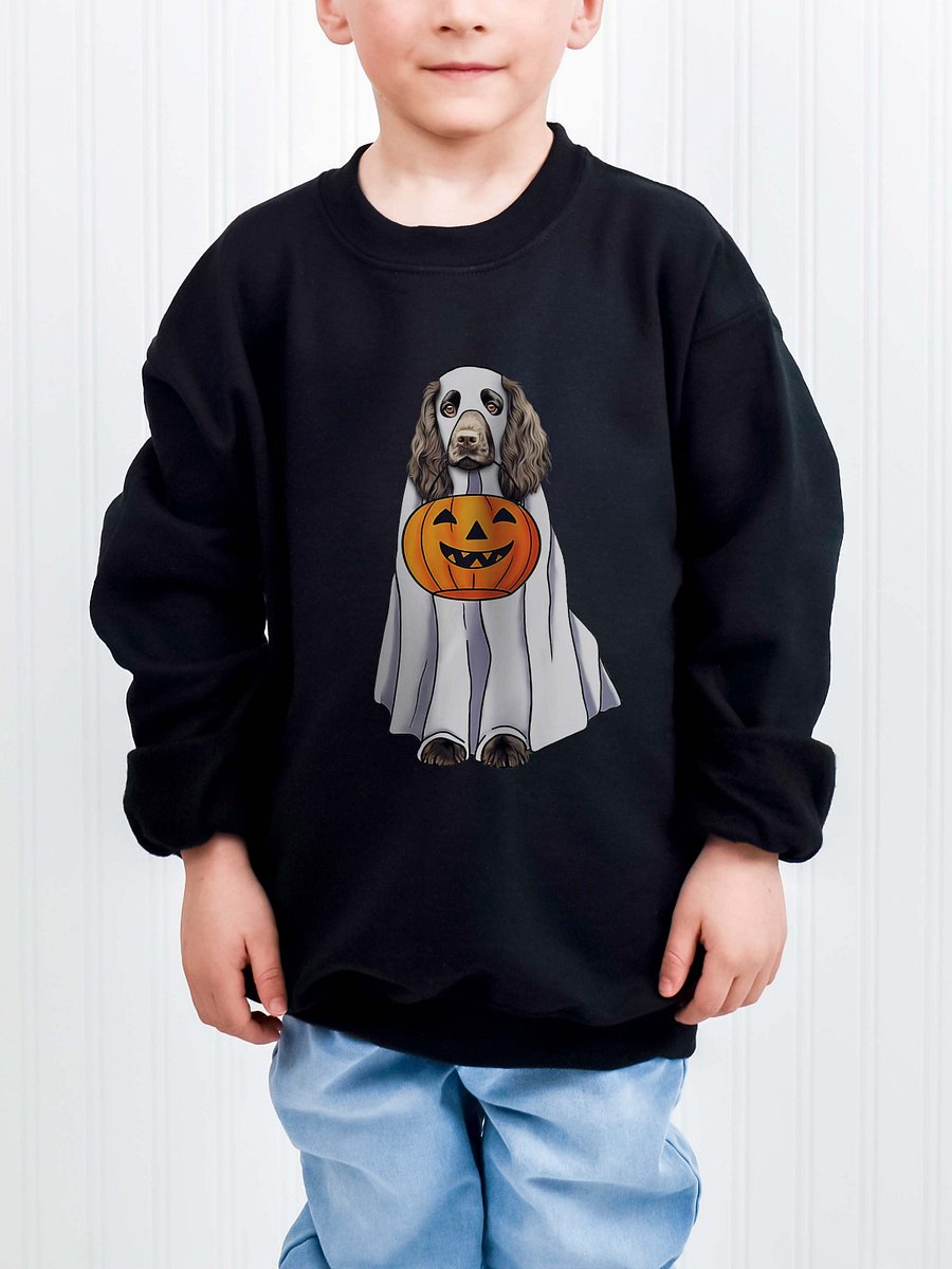Halloween Boykin Spaniel Youth Sweatshirt product image (1)
