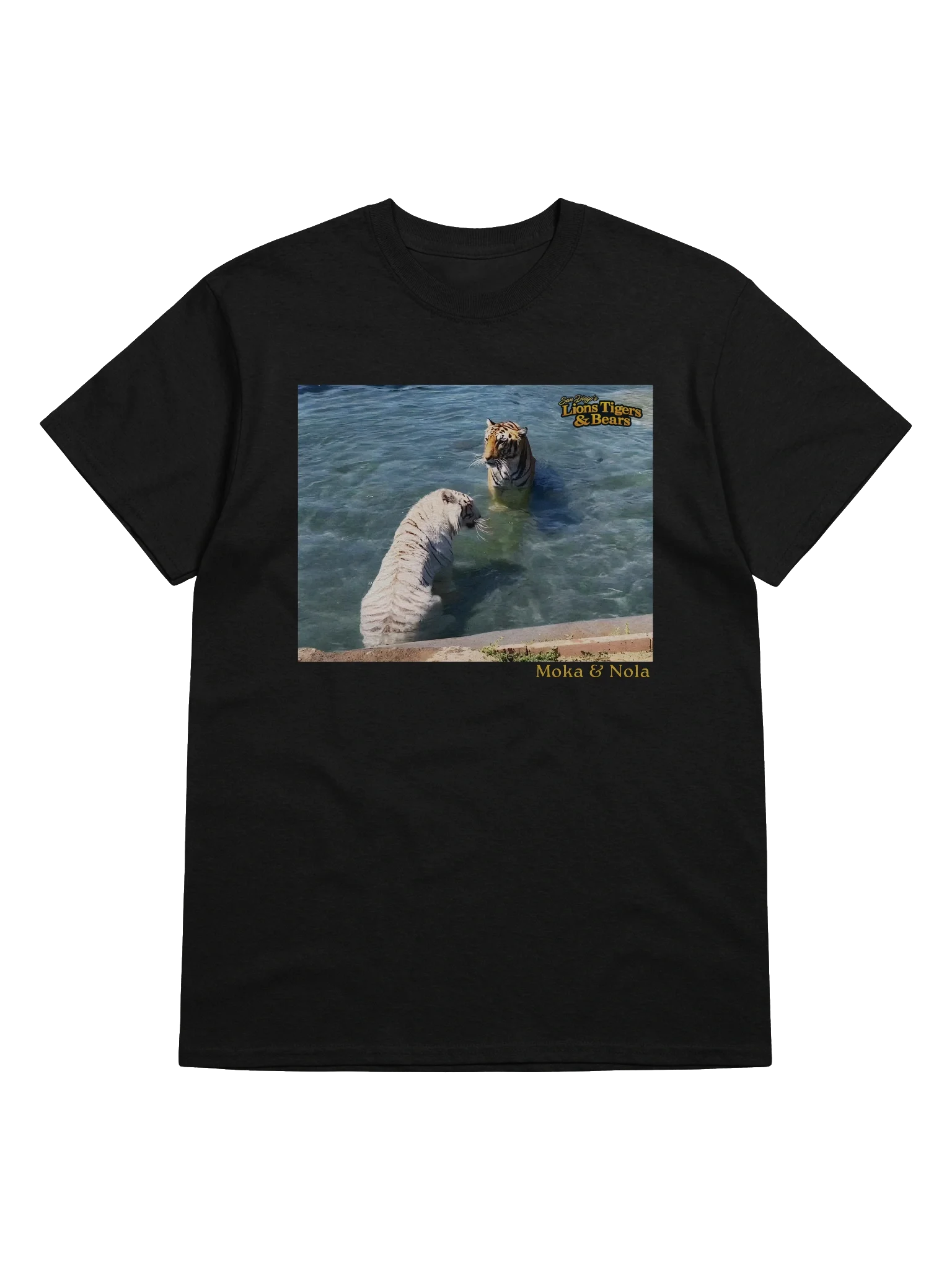 Moka & Nola Pool Photo Tee product image (38)