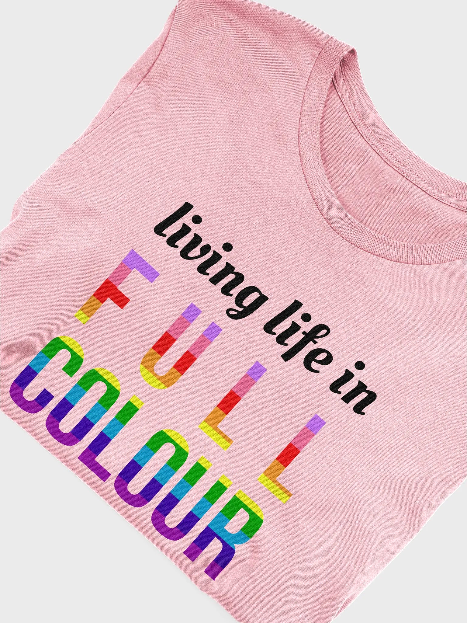 life in full colour queer t-shirt product image (5)