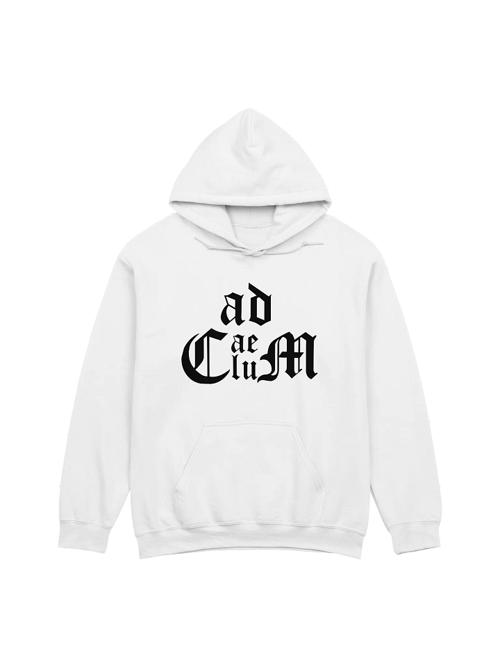 Generic Logo Pullover Hoodie (White) product image (1)