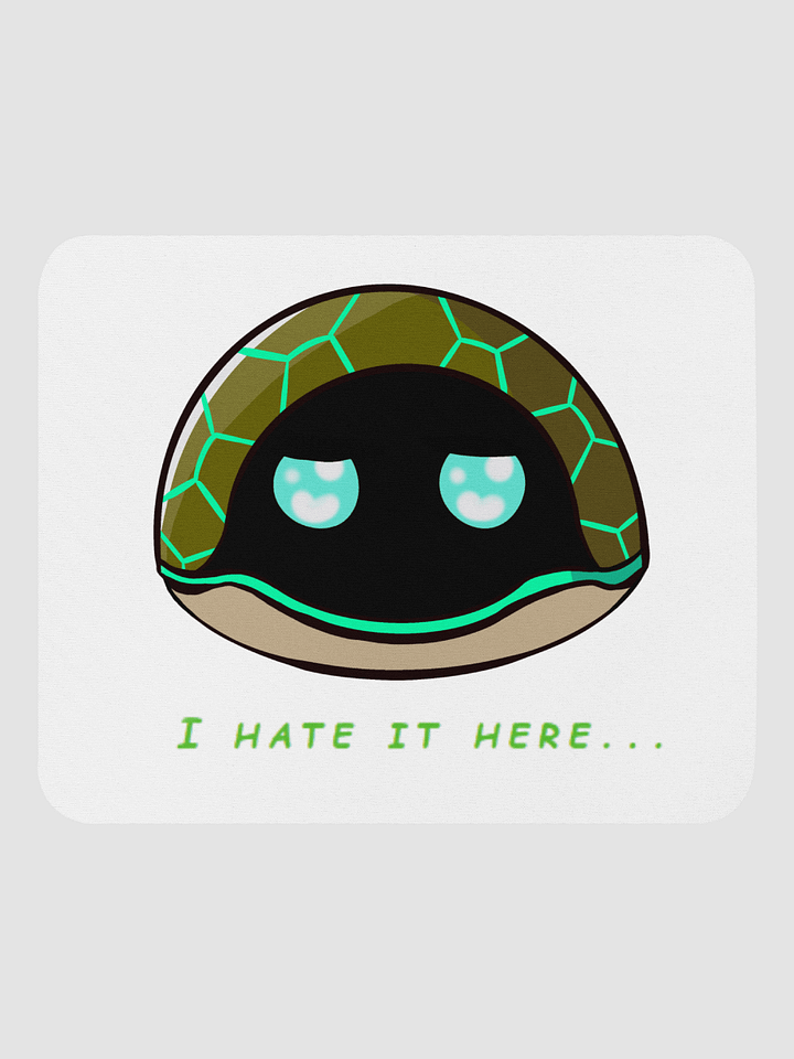 Chrispy_turtle 
