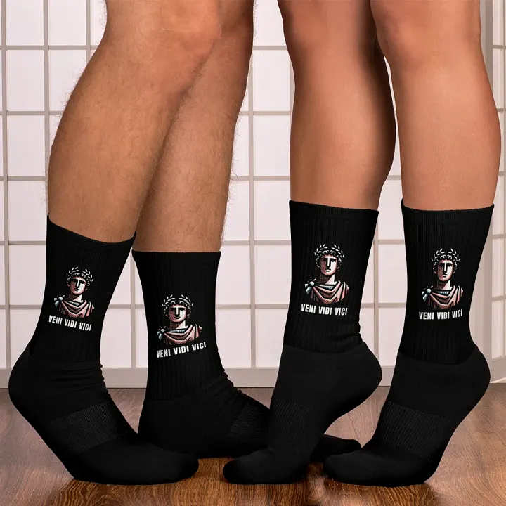 Veni Vidi Vici Socks product image (1)