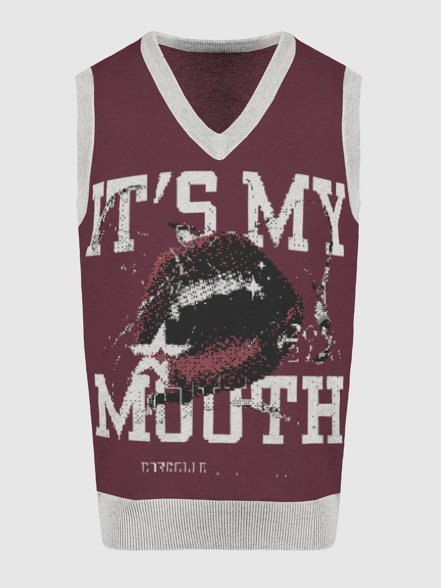 Mouthful of Style Knitted V-Neck Vest product image (12)