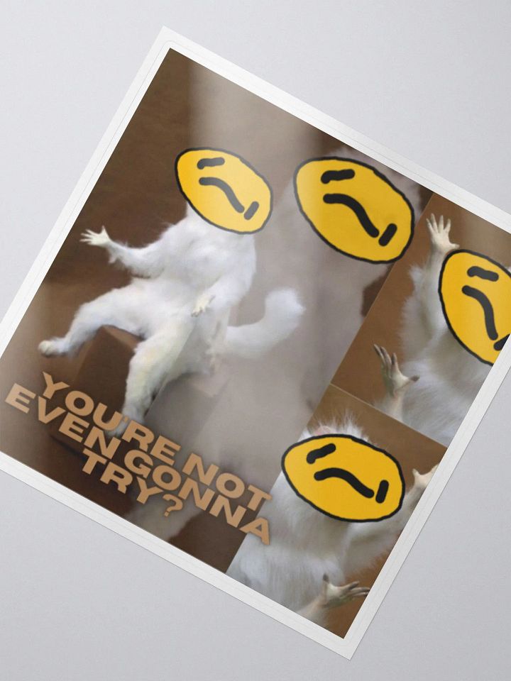 Zero Effort product image (2)