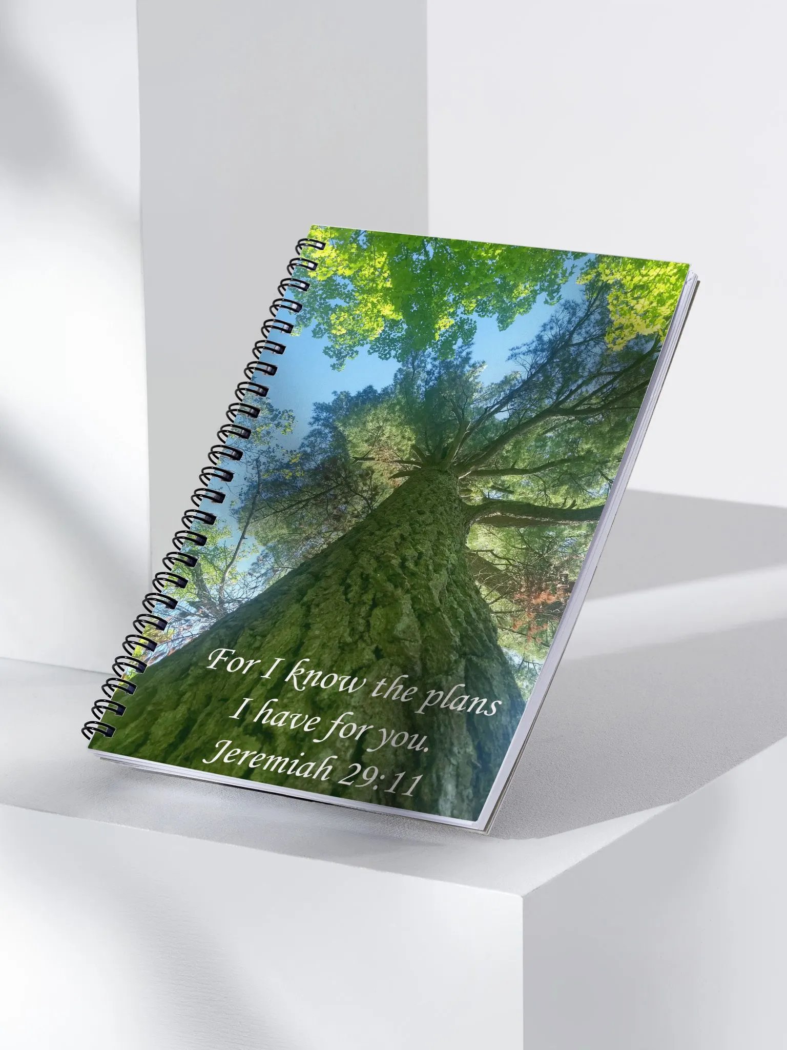 I Know the Plans - Journal product image (3)