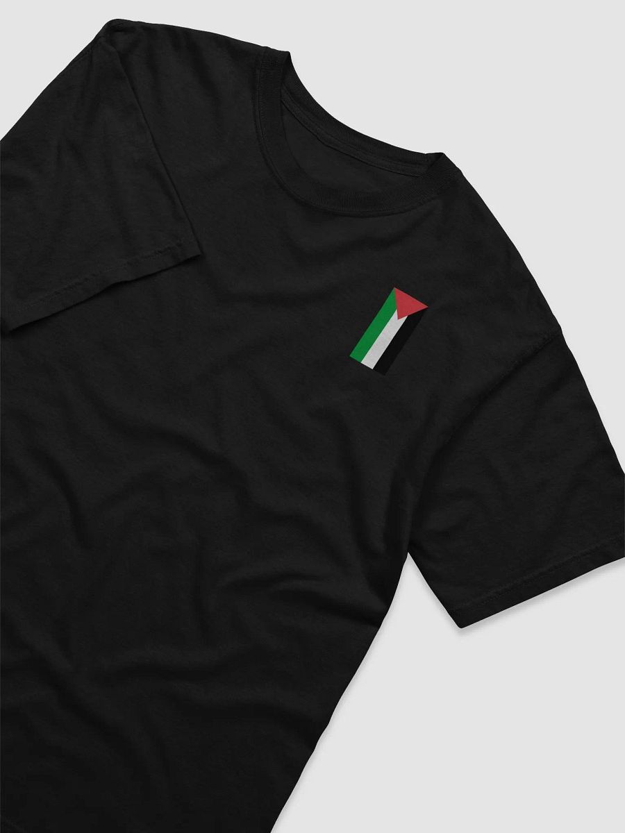 Palestine Flag T-Shirt / Black product image (3)