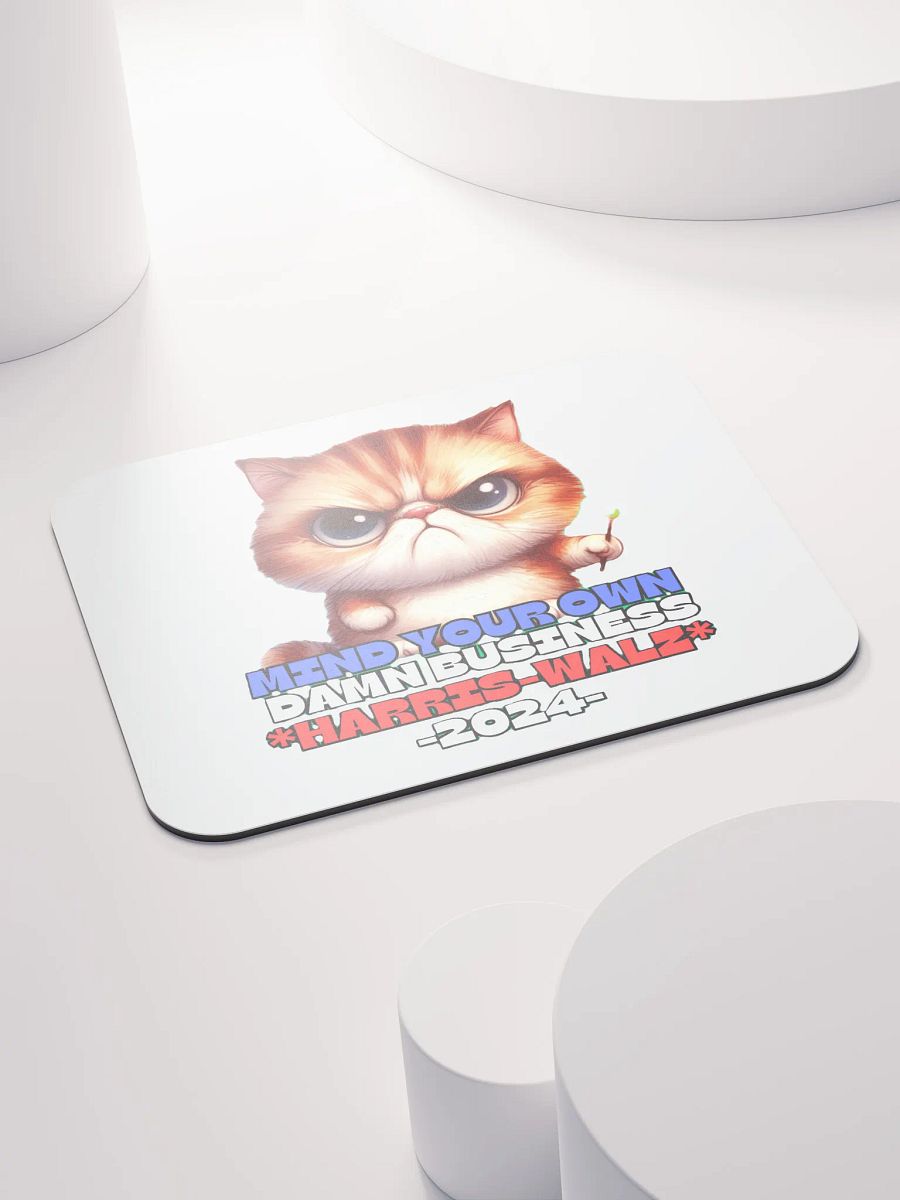 HARRIS-WALZ 2024 MIND YOUR OWN DAMN BUSINESS product image (4)