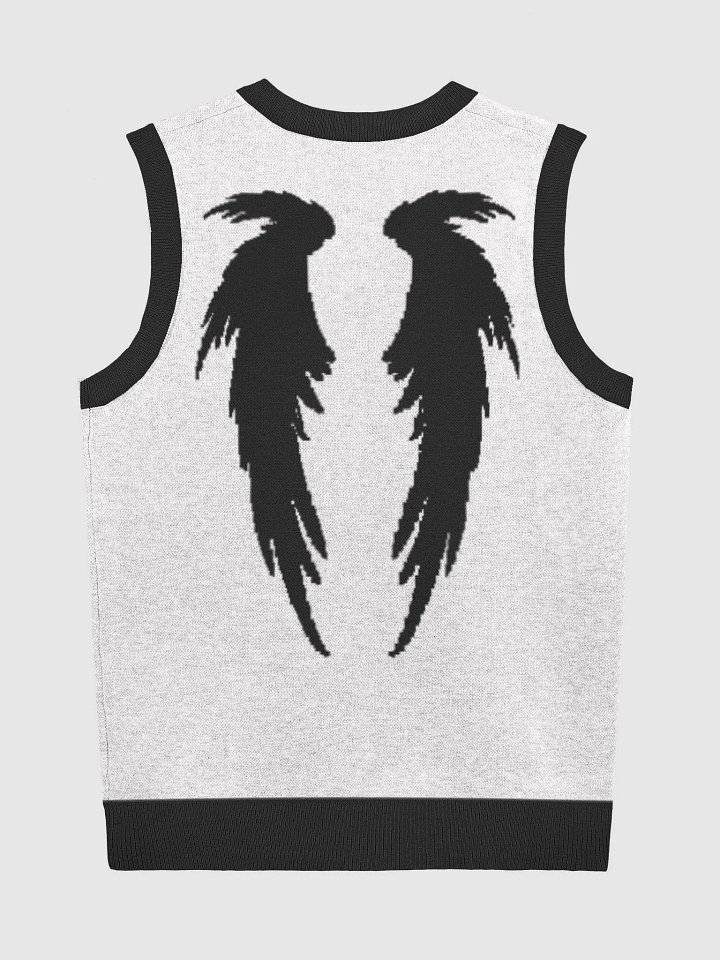 Divine Revelation V-Neck Vest - God's Favorite product image (2)