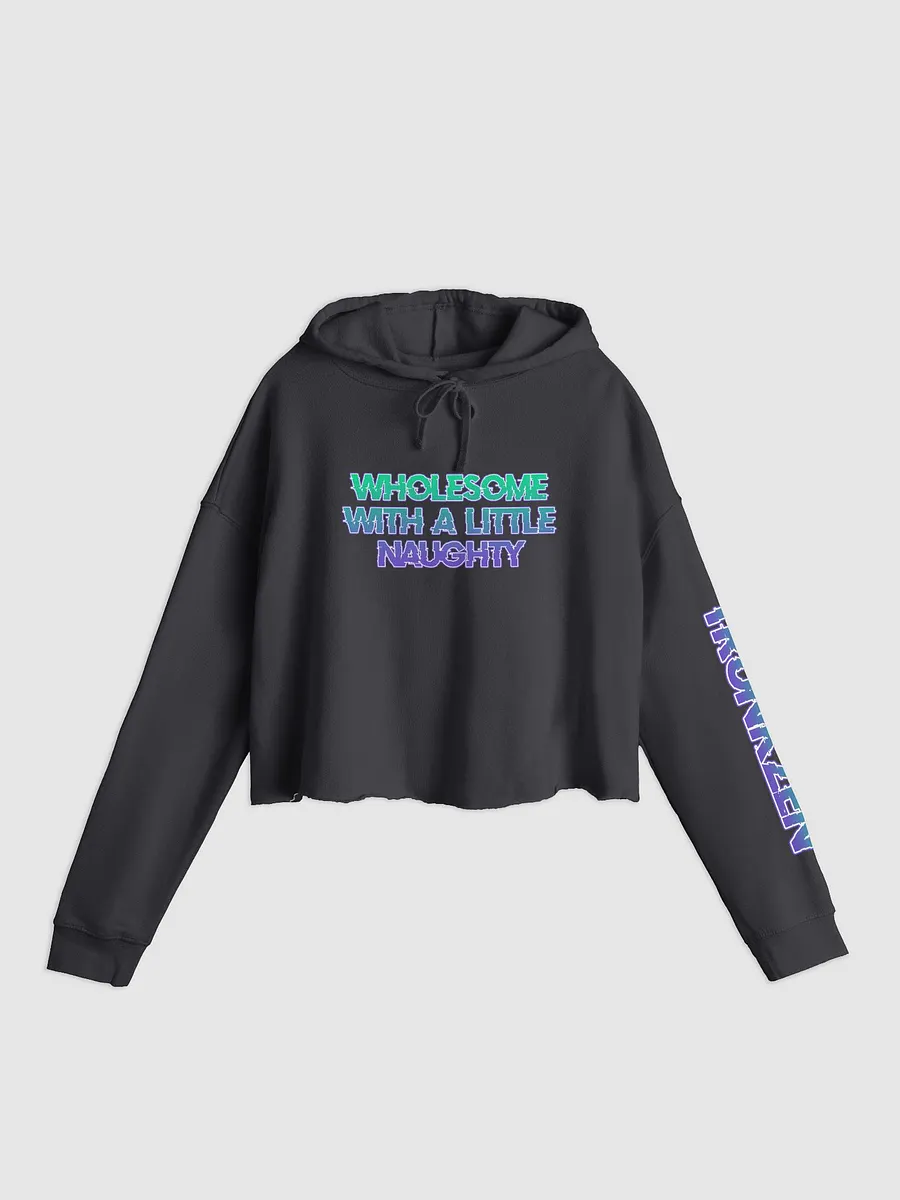TZ Wholesome w/a little naughty Crop Hoodie product image (5)