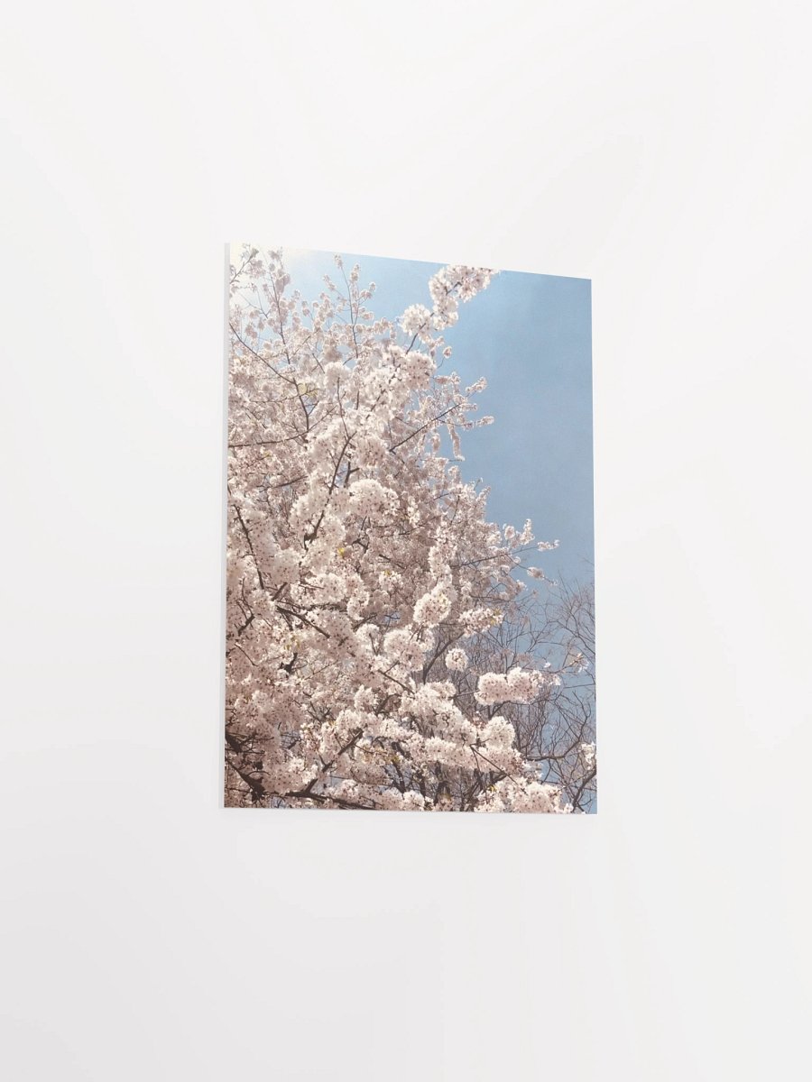 Primavera - Enhanced Matte Paper Poster product image (10)