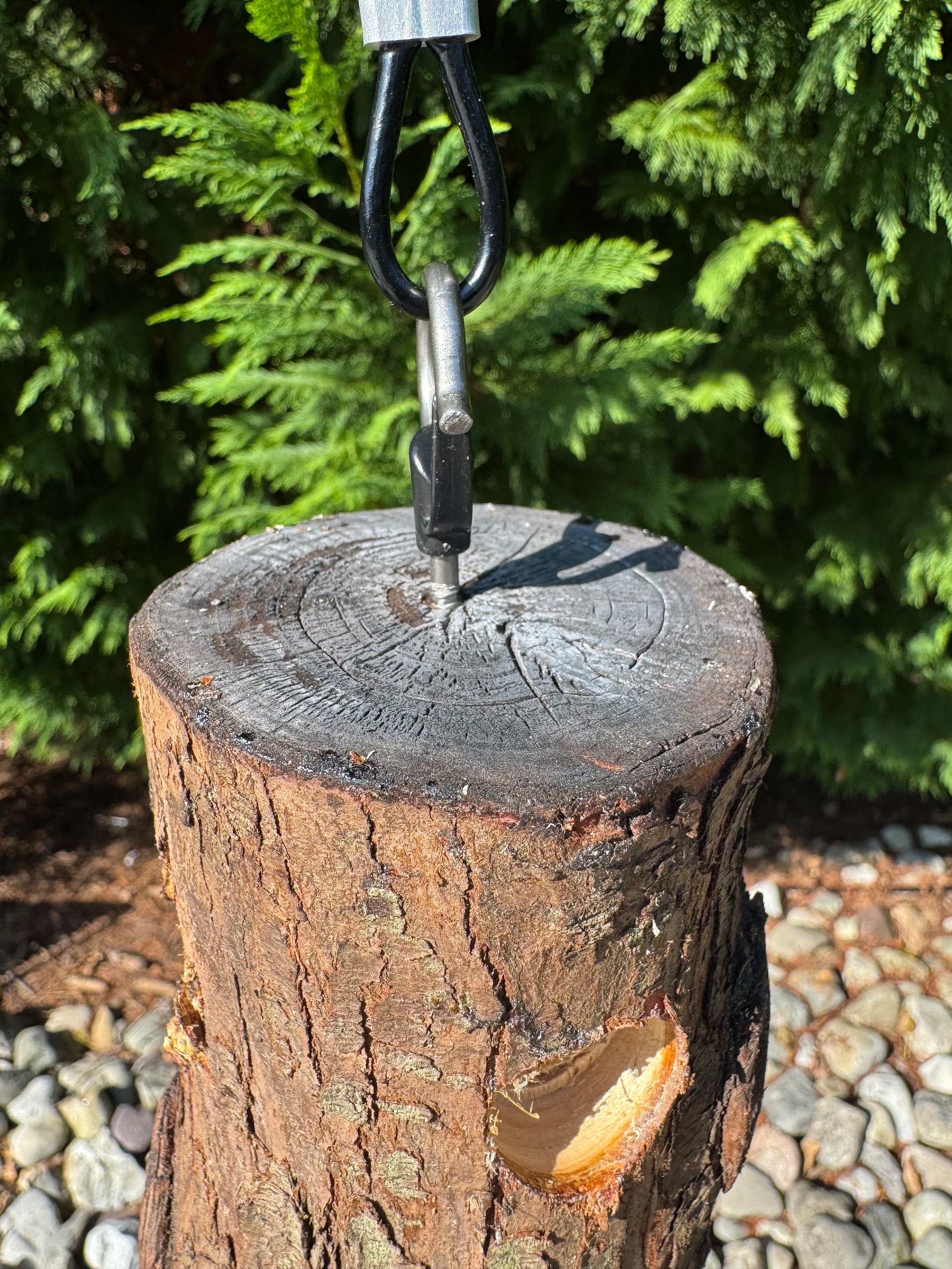 The Trunk: Standard Suet Log product image (4)