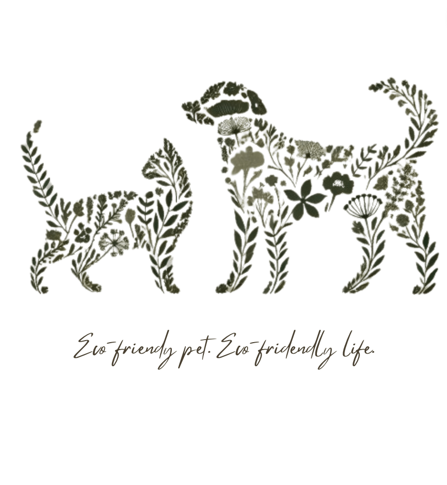 Eco-Friendly Pet Duo: Floral Art Collection product image (1)
