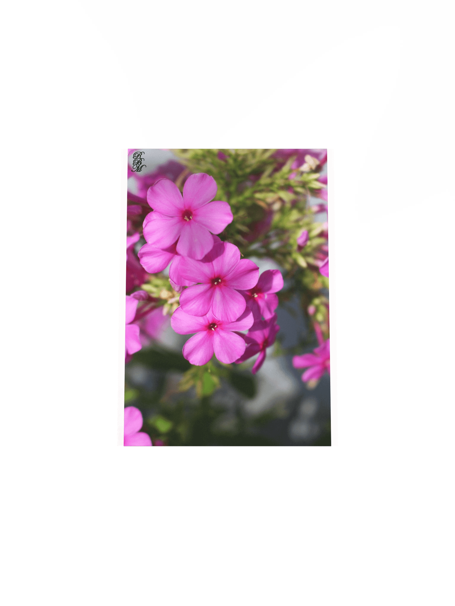 Little Pink Flowers product image (17)