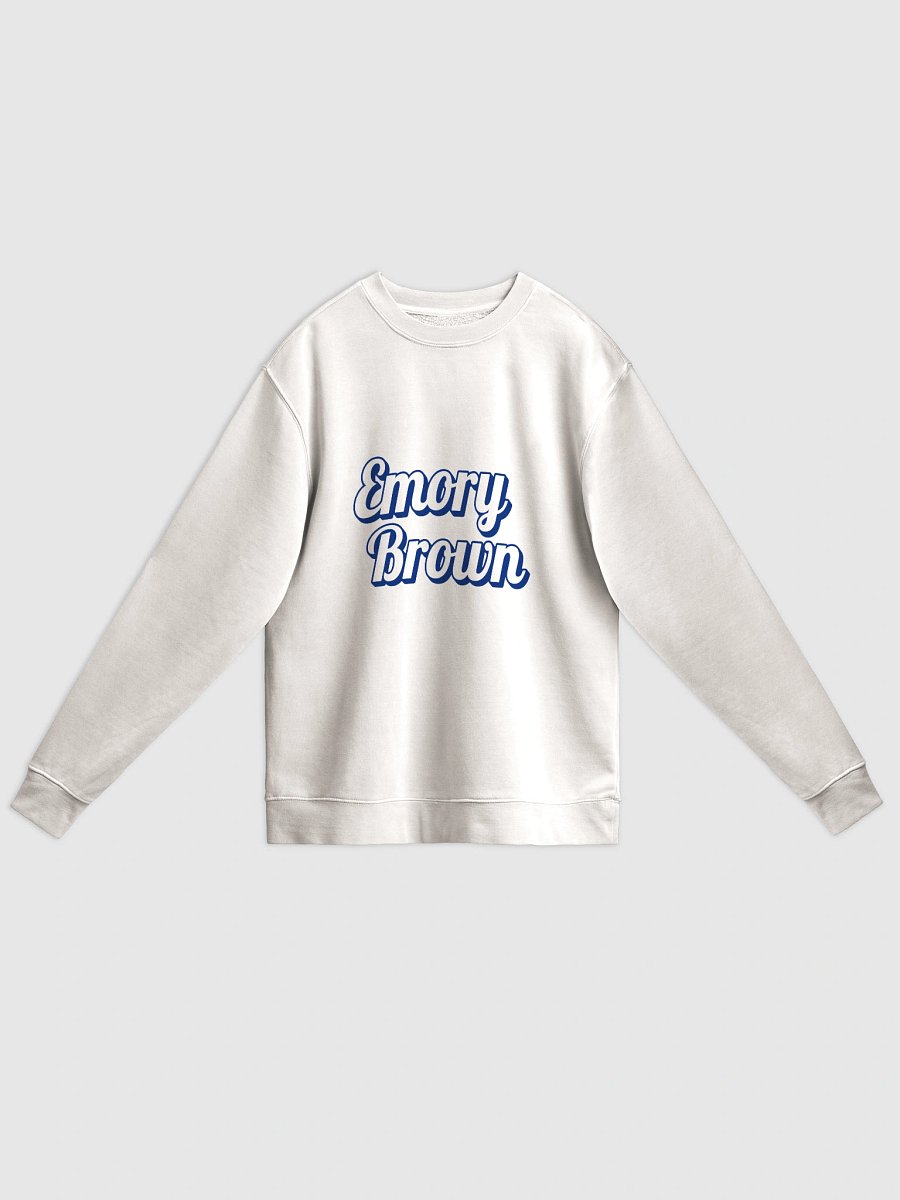 Emory Brown Outlined Crew Neck product image (49)