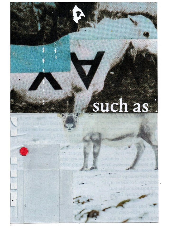 a translation of meanings product image (1)