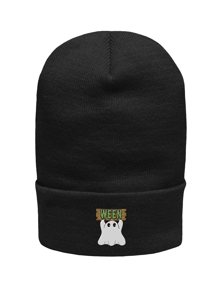 Ween Beanie 2.0 product image (1)