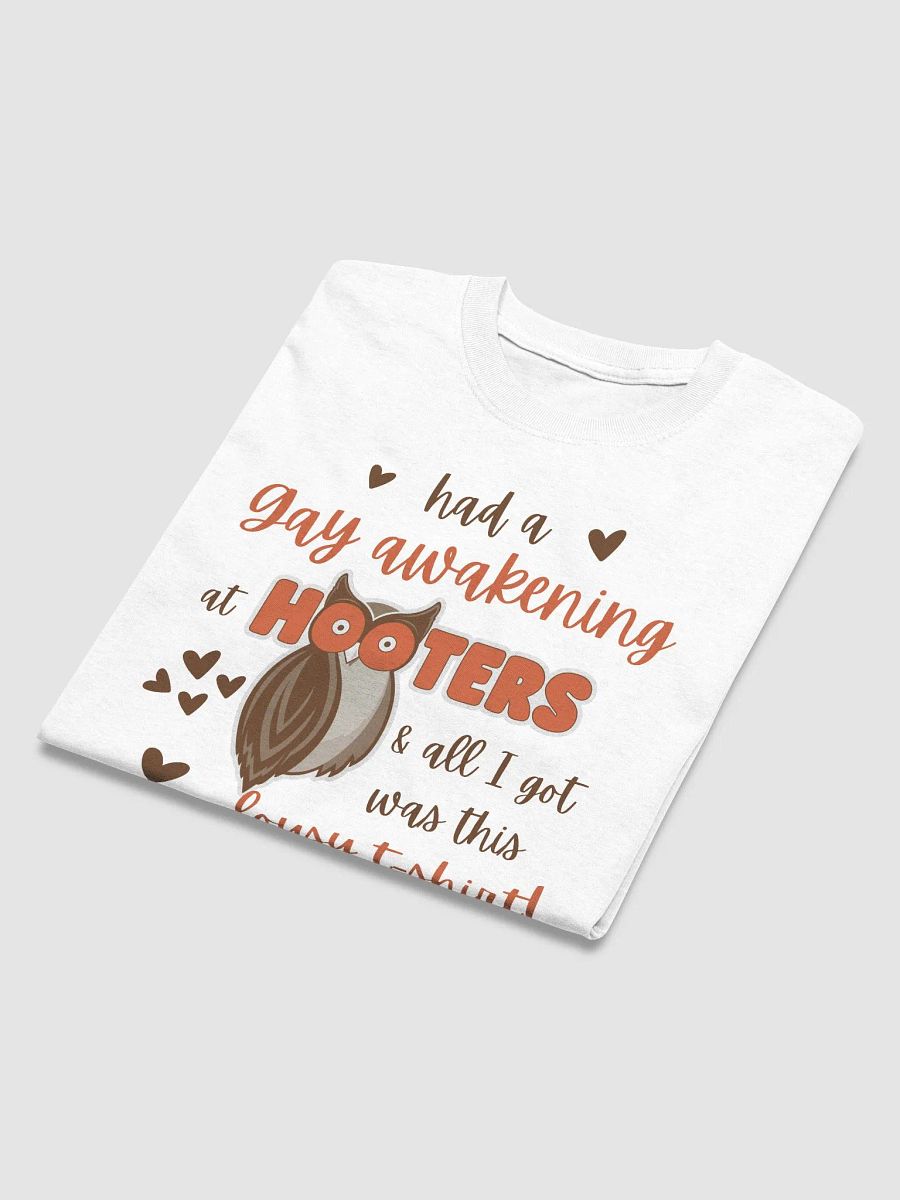 Had a Gay Awakening at Hooters product image (3)