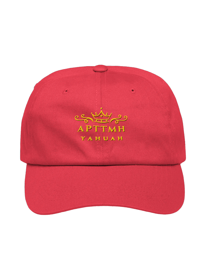 APTTMH Dad Hat product image (2)
