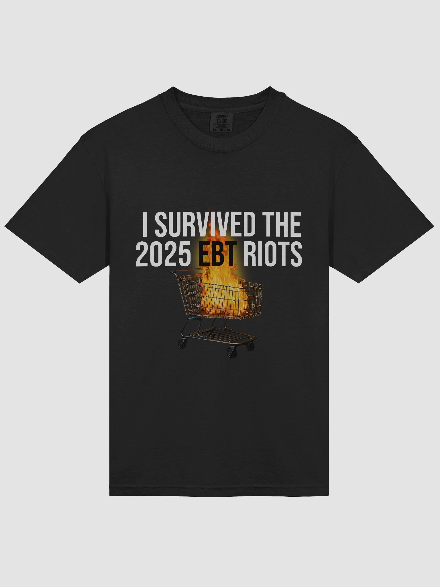 I Survived The 2025 EBT Riots product image (3)