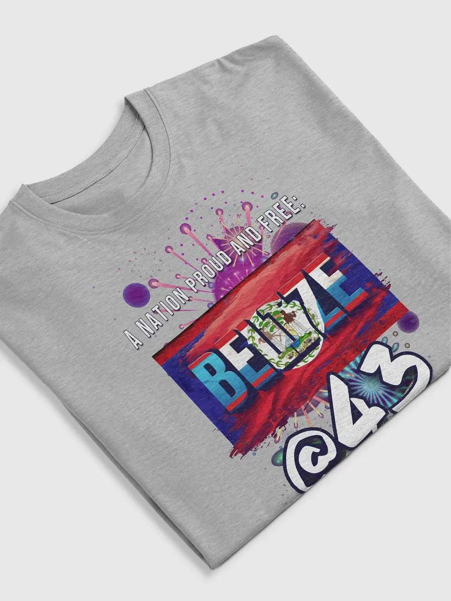 September Celebration T-Shirt (Outside Flag Design) product image (5)