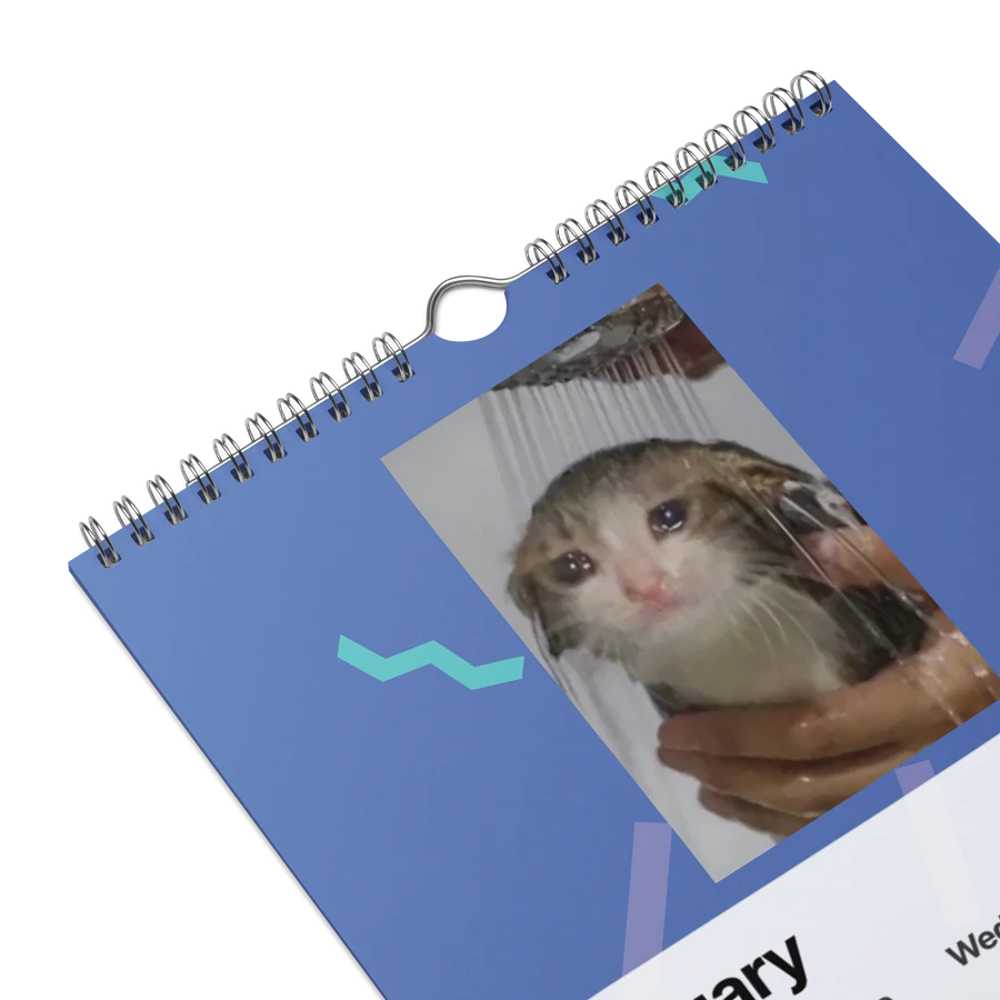 Wall Calendar (2024): Meme Cats product image (9)