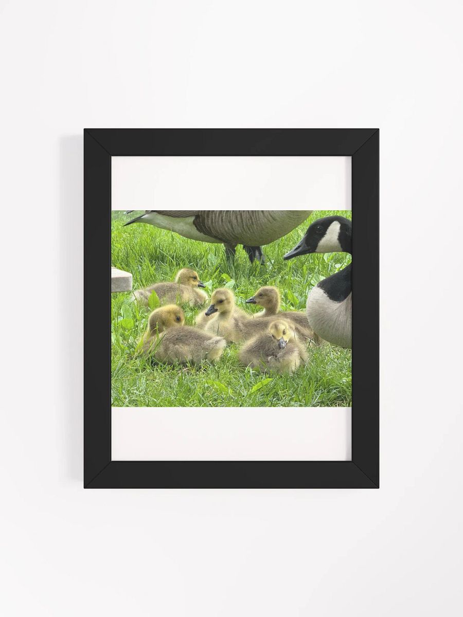 Mamma goose and babies product image (16)