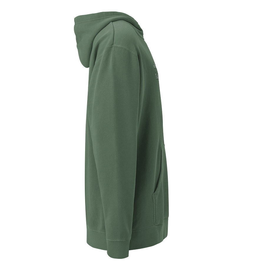 "not an expert..." Official Charcoal Hoodie product image (6)