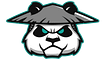 Panda Gang Merch Store