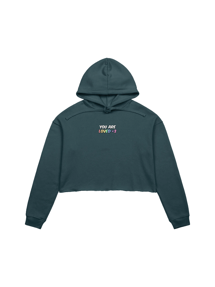 RAINBOW LOVE CROP HOODIE product image (1)
