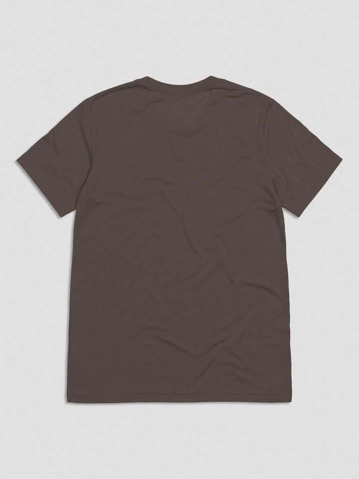 Rank Doesn't Matter (Triblend Shirt) product image (20)