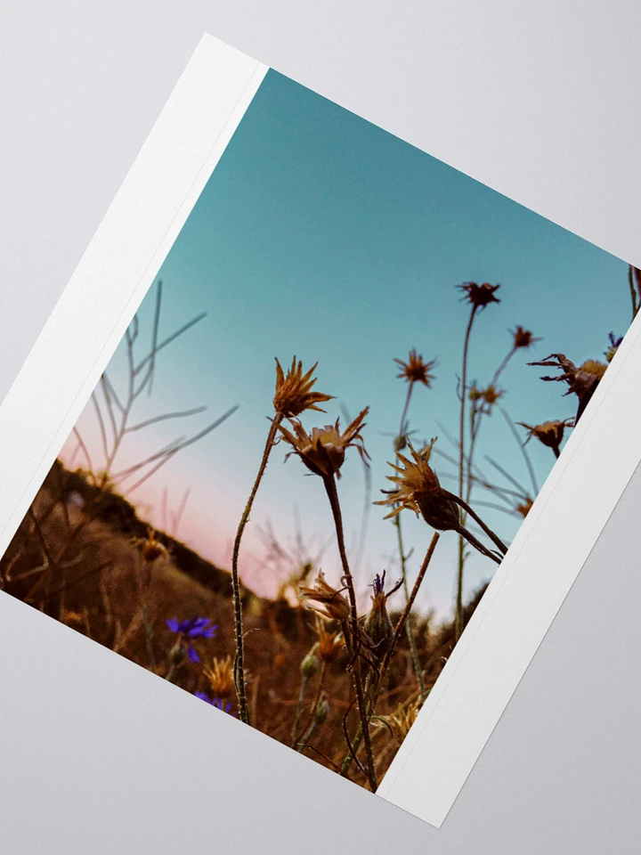 Wildflowers at Sunrise Sticker product image (2)