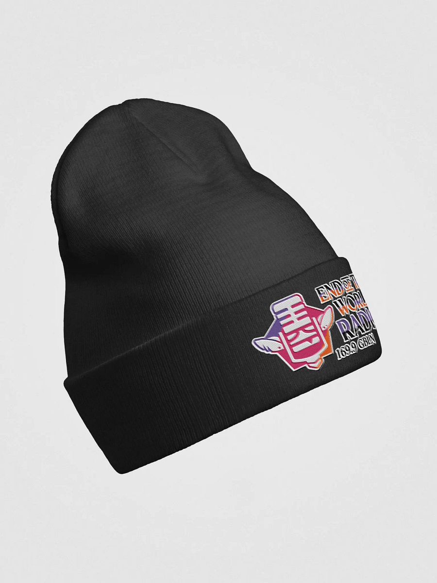End of the World Radio Knit Beanie product image (3)
