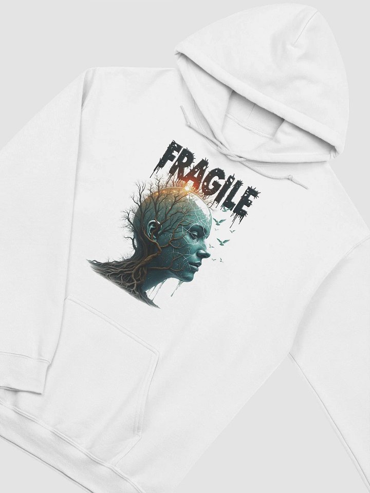 Fragile product image (2)