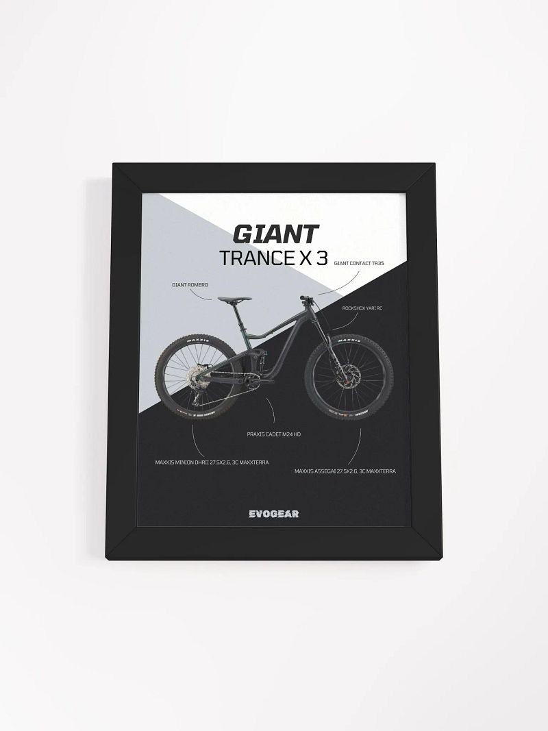 Giant Trance X 3 Frame