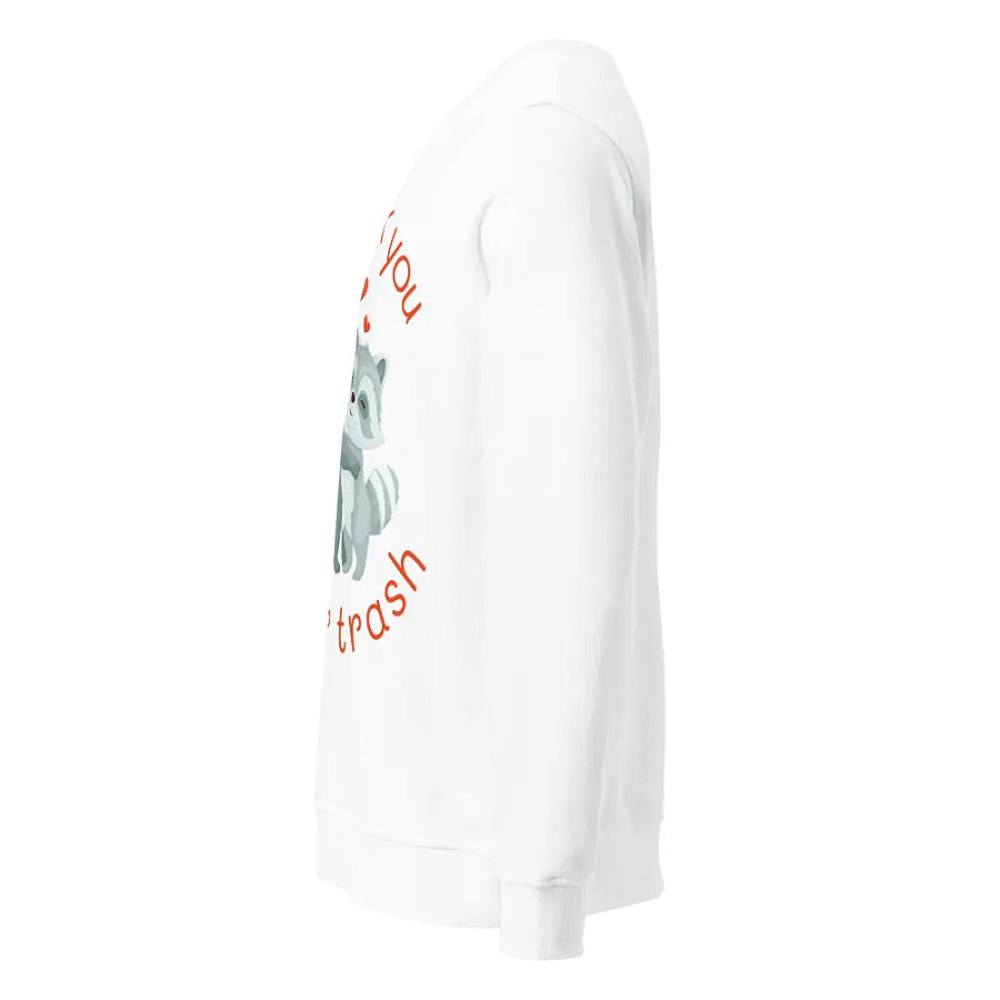 "I'd Pick You Over Trash" Cute Raccoon White Sweatshirt product image (5)