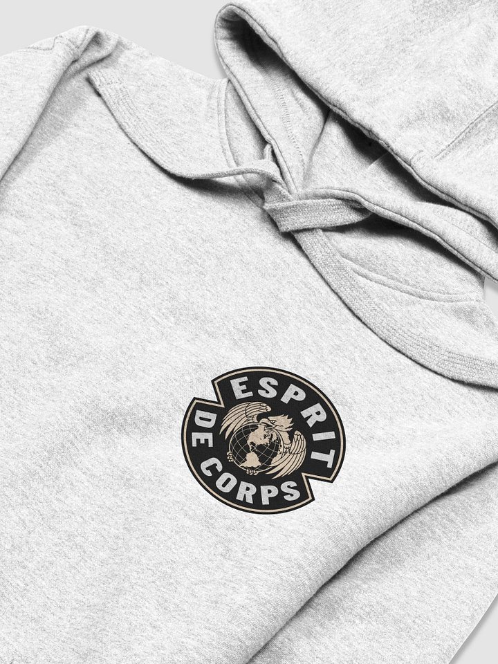 Esprit de Corps Everyday Hoodie product image (2)