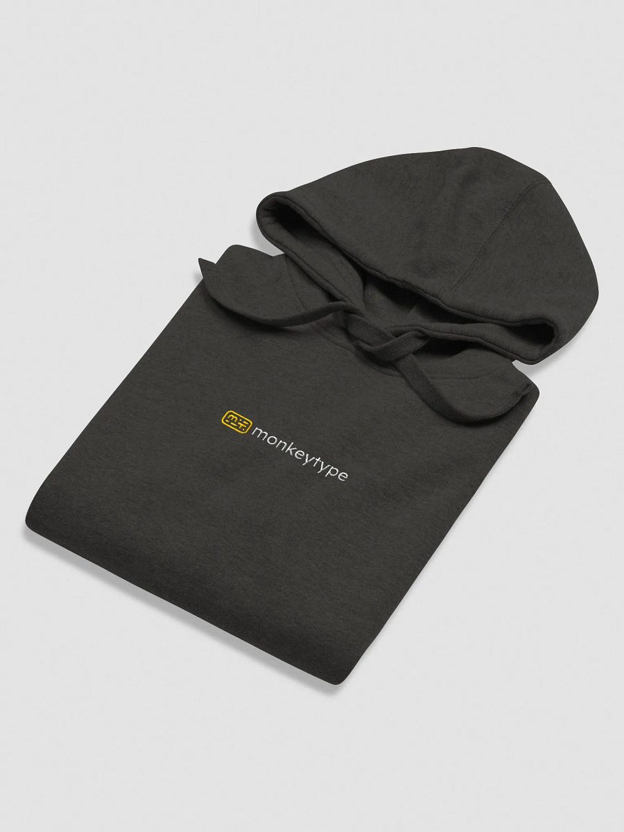 Light Wordmark Hoodie (Embroidered) product image (16)