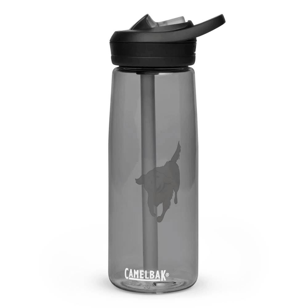 CamelBak Eddy®+ Sports Water Bottle by CamelBak - Golden Retriever product image (2)