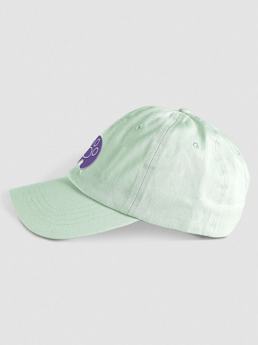 Squibble Design Paw Logo Embroidered Mint Cap product image (3)