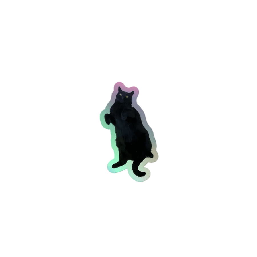 Cosmo Tummy (Holographic Sticker) product image (1)