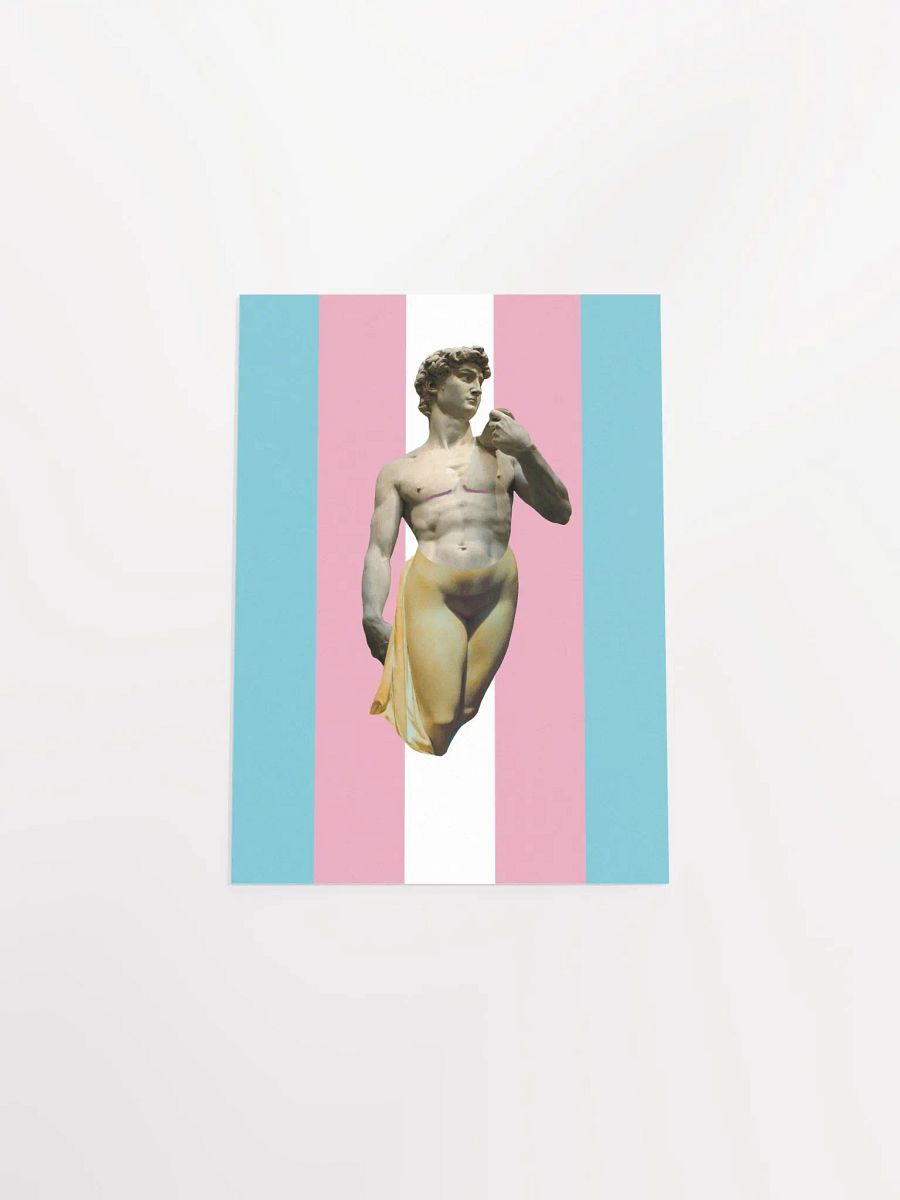 Trans Day of Visibility 3 Poster product image (4)