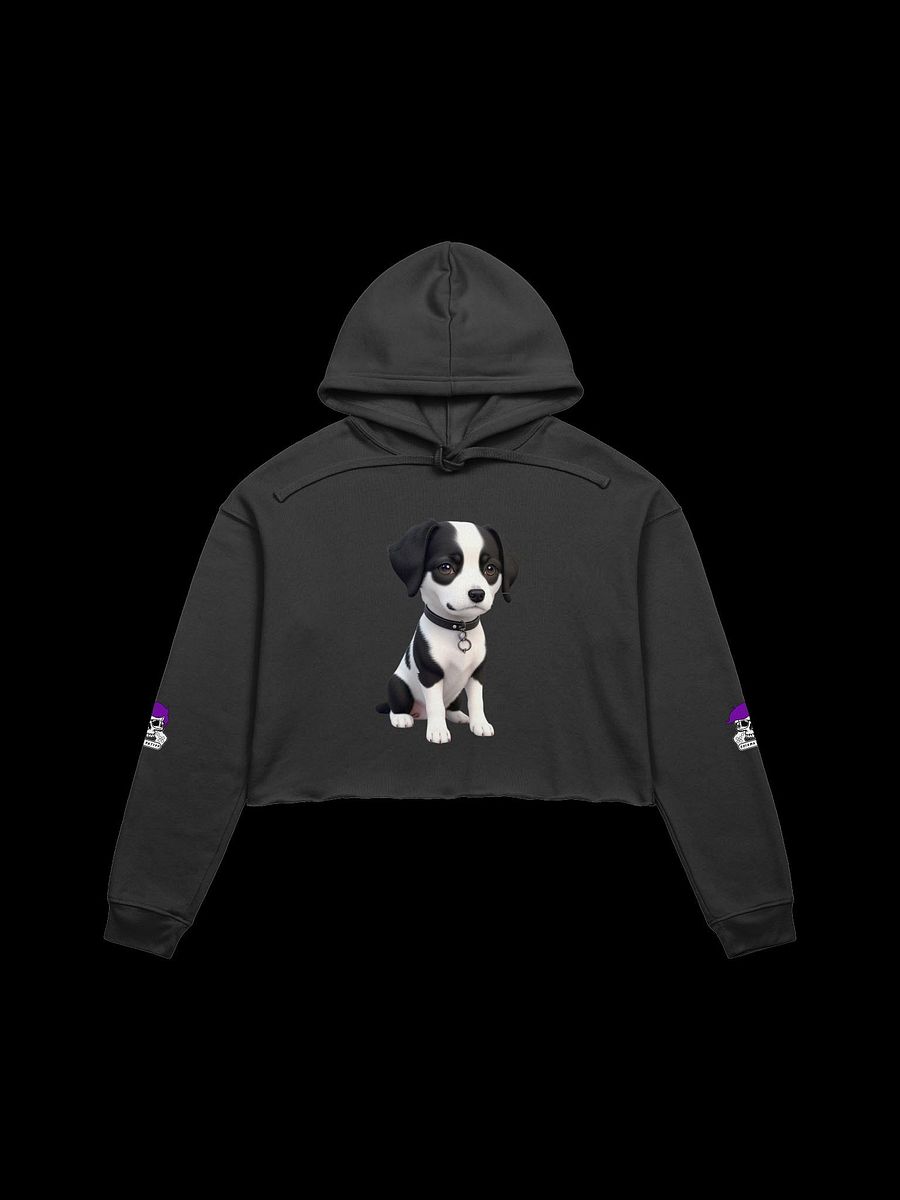WallE Crop Hoodie product image (1)