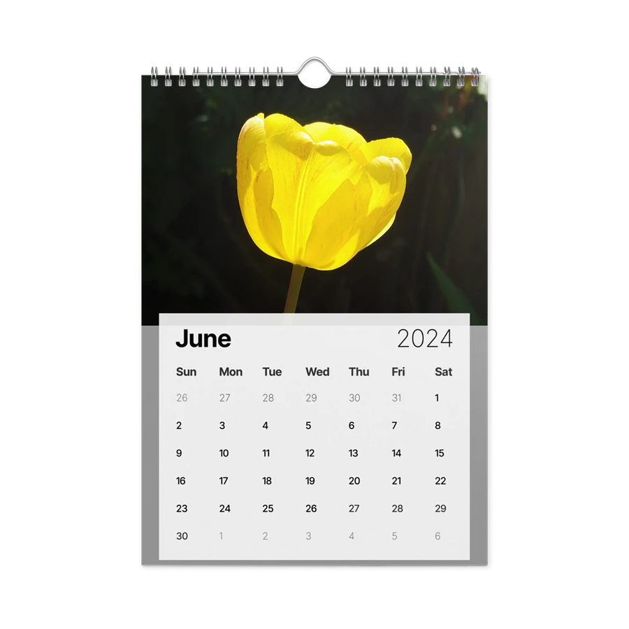 Medley Calendar 1 product image (23)