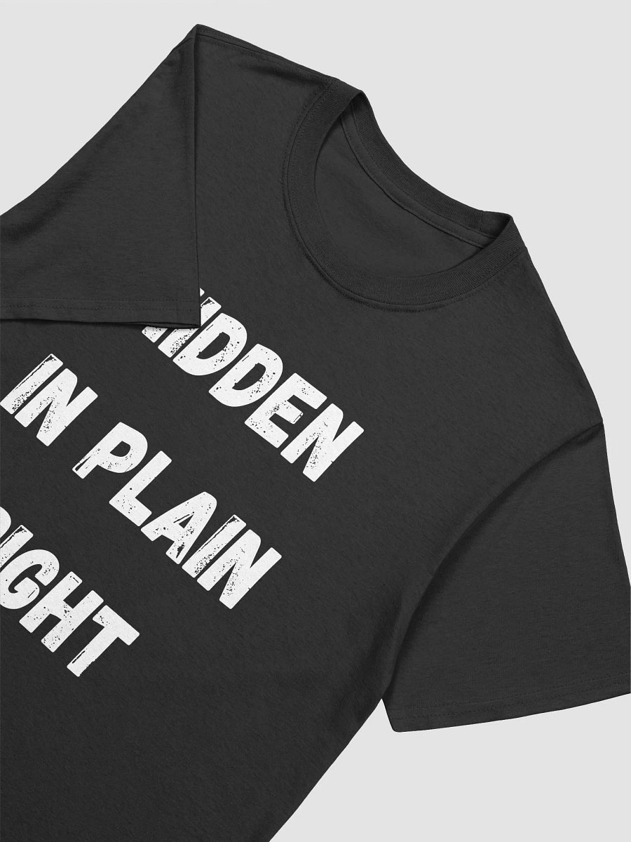 Hidden in Plain Sight product image (3)