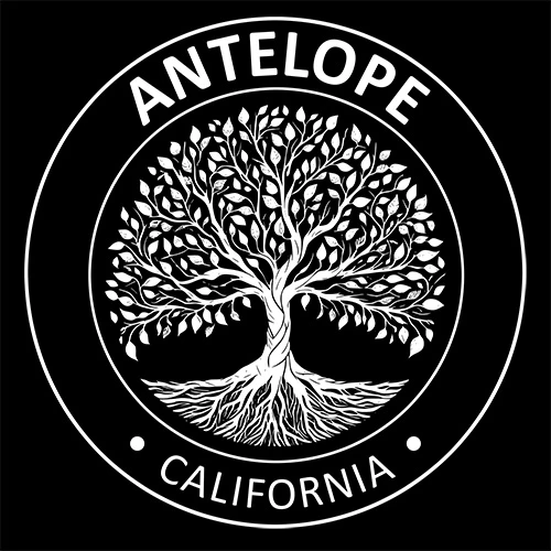 Antelope California Souvenir Gift Unisex T-Shirt product image (2)