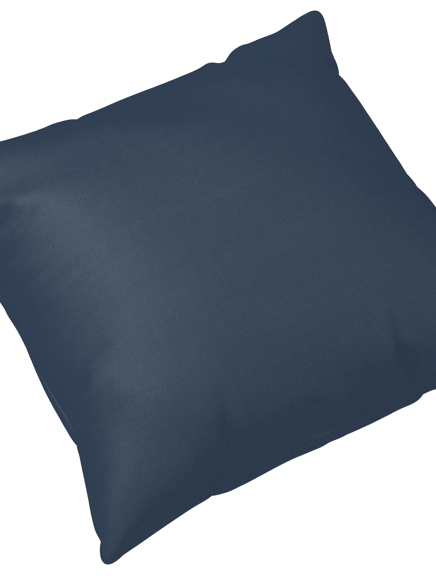 Literary Pillow Cicero Quote Book Lovers Pillow product image (4)