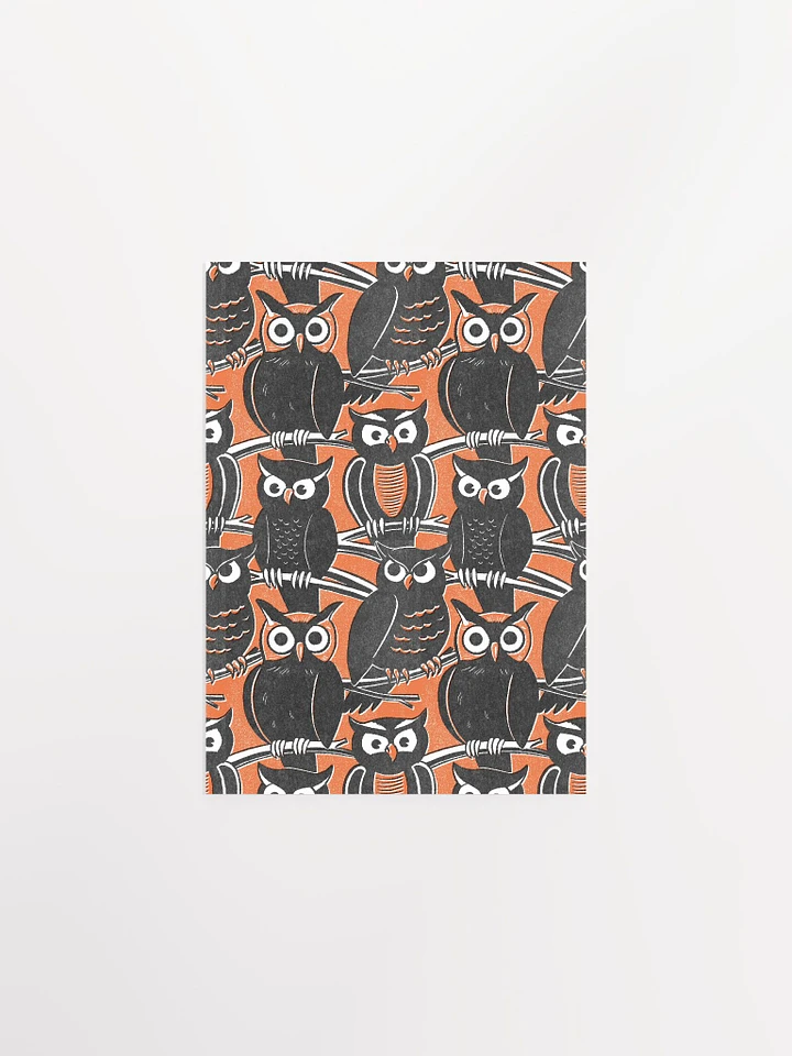 Owls product image (1)