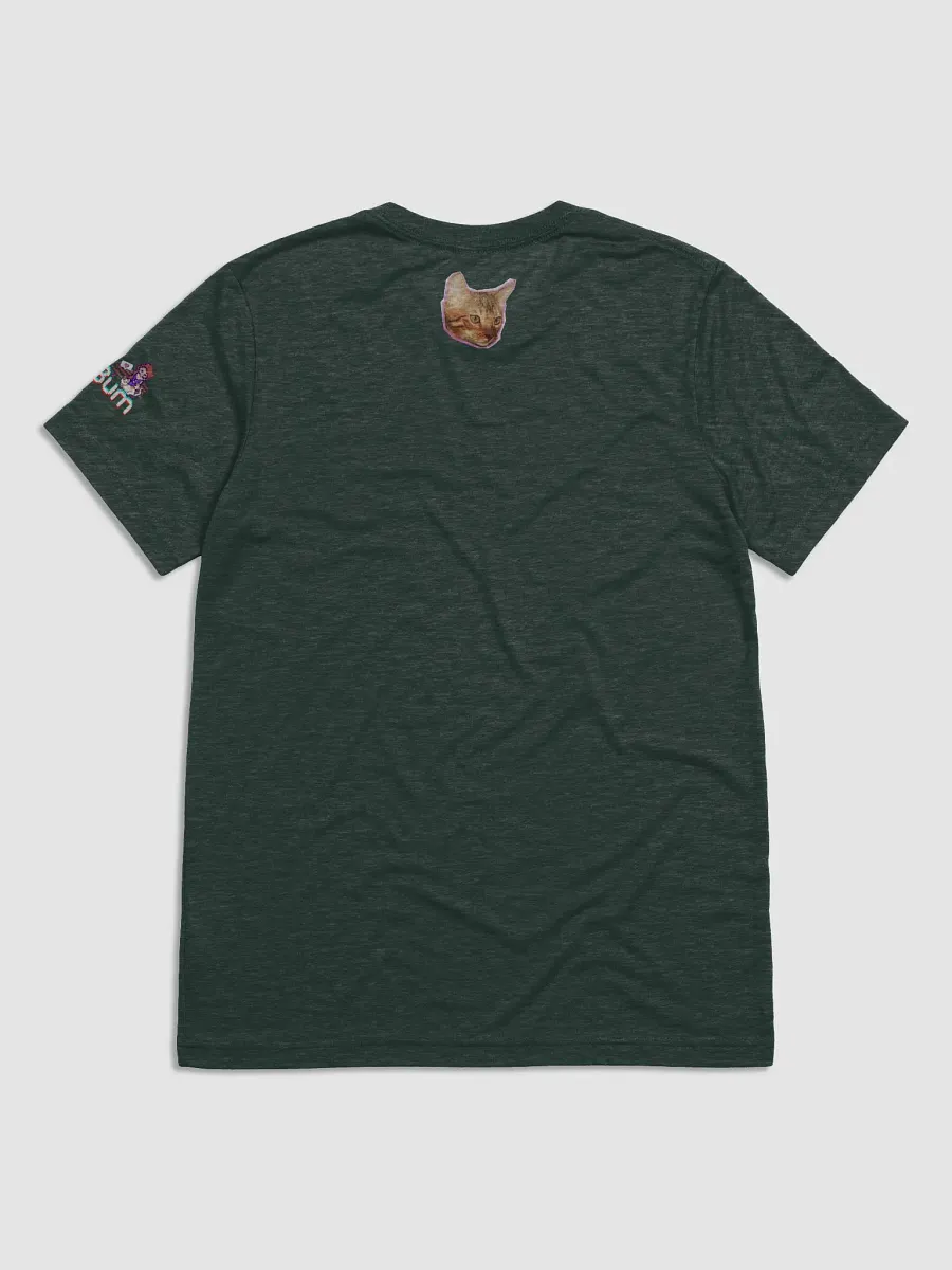 STICKERDOODLE triblend tee product image (26)